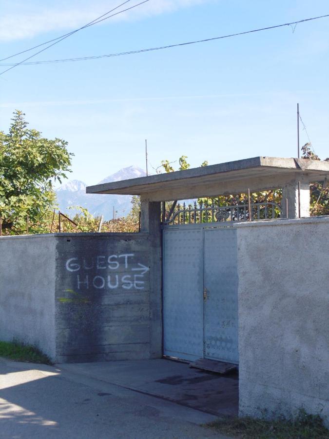 Florians Guesthouse Shkodër Buitenkant foto